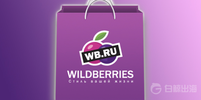 wildberries-marketplace-russia.png