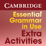 Essential Grammar  Activities