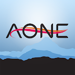 AONE 2013 Annual Meeting