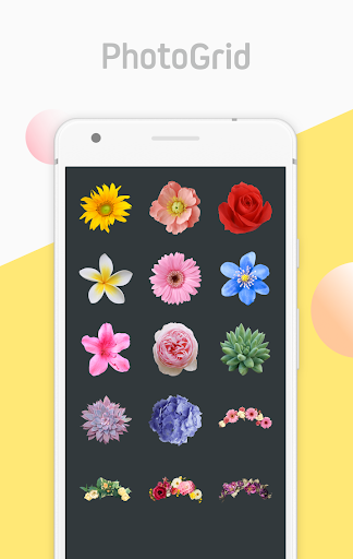 Collage Maker with Flowers from Photo Editor