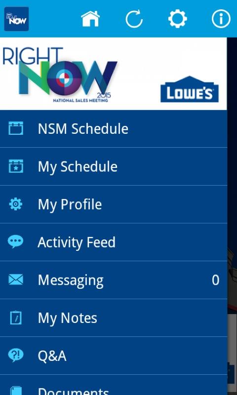 Lowe's NSM 2015