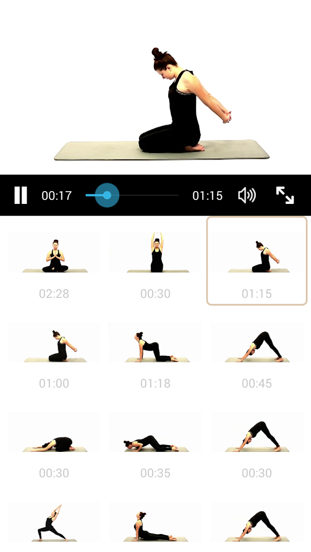 Yoga Guru L1-10