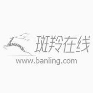 北京斑羚在线网络科技有限公司